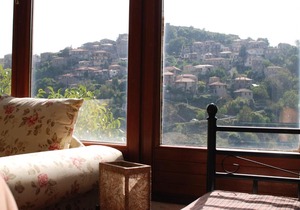Dimitsana View
