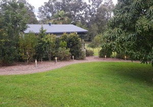 Eumundi Cottages - Cottage 1