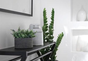 Hastings Park: Elegant Noosa Gem by the Beach