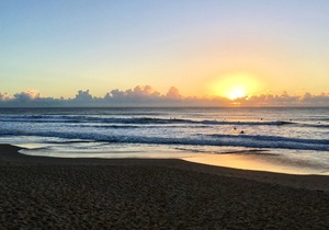 ~Heart of the Coast, Walk to Alex Beach, Private,Courtyard,Fully self contained~