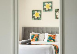 Hibiscus 006 - Hamilton Island