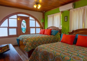 Iguana Apartmentos and Estate