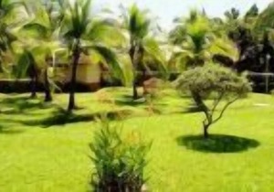 Jaco Princess Condo - Close to Beach and Amenities of Jaco