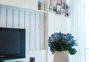 Luxury City Center Apartment
