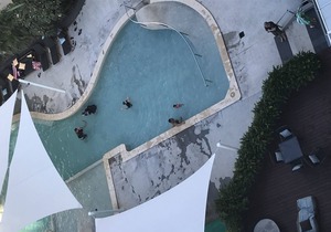 Mariner Shores Resort - Burleigh Heads