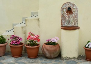 Mistra Estates Villa The Vine