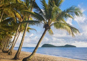 Palm Cove Accommodation