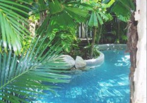 Palm Cove Tropic Apartments