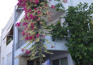 Preveza Seaside Apartment