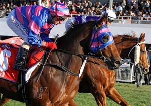 Quest Ascot
