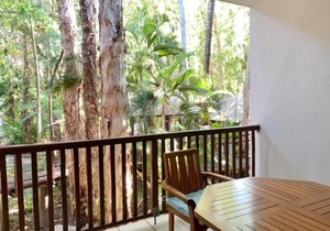 REEF RETREAT APARTMENTS PALM COVE Unit 11