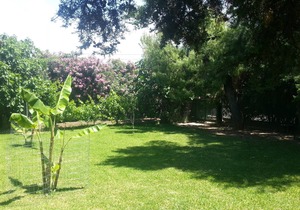 Seaside Bungalow Eleni, Eretria Evia Greece