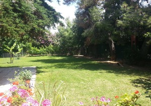 Seaside Bungalow Eleni, Eretria Evia Greece
