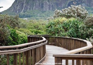 Sunshine Coast Beach Front