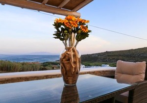 Venus Myconian Residences