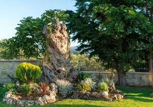 Villa Zeus Apts- Unique Surrounding