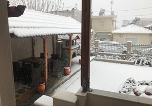 Volos Home