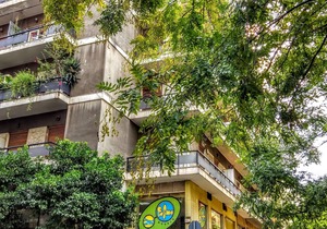 Zenios Ippokratis