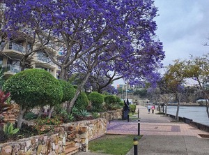 Retreat | Kangaroo Point