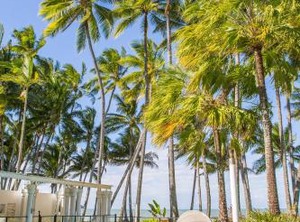 Alamanda Palm Cove | Palm Cove