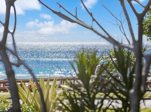Bilinga Gardens North | Bilinga