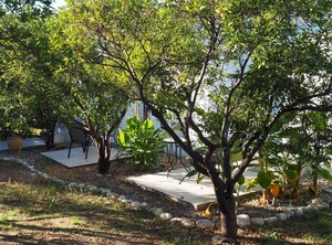 Calm Located Olive Grove The Beach Holiday | Kakovatos