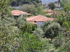 Calm Located Olive Grove The Beach Holiday | Kakovatos