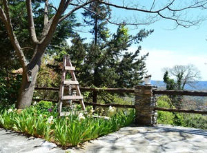 Grove Cottage Pelion | Milies