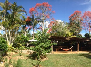 The Walla | Yungaburra