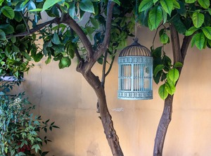 Lida Garden Villa | Anavyssos
