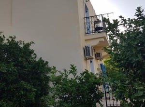 Irene | Panormos
