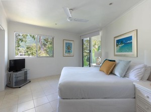 Paringa Palm Cove | Palm Cove