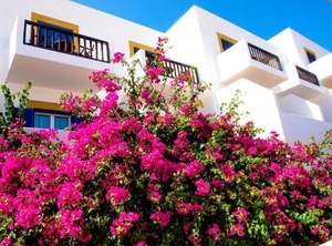 Patmos Paradise Hotel | Kampos