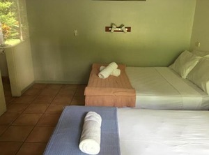 Pk Jungle Village | Cape Tribulation