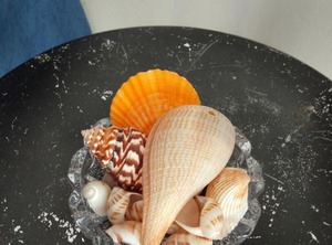 The Queenslander Motel | Palm Beach