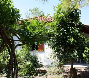 Calm Located Grove Close The Beach Holiday Ilia 