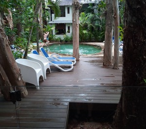 Palm Cove Retreat 