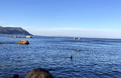 Simon's Town Apartment | 107 m² Apartment ∙ 2 bedrooms ∙ 4 guests