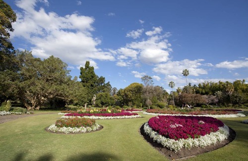 East Brisbane Bed & Breakfast | 12 m² Bed and breakfast ∙ 4 guests