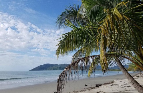 Cape Tribulation Resort | 27 m² Resort ∙ 127 guests