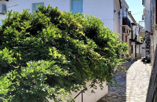 Skiathos Bed & Breakfast | 40 m² Bed and breakfast ∙ 2 bedrooms ∙ 127 guests