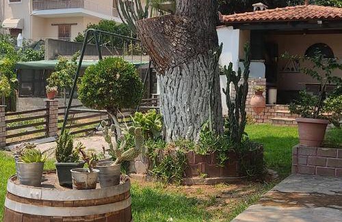 Amarinthos Apartment | 45 m² Apartment ∙ 1 bedroom ∙ 4 guests