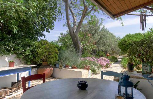 Alinda Apartment | 55 m² Apartment ∙ 2 guests