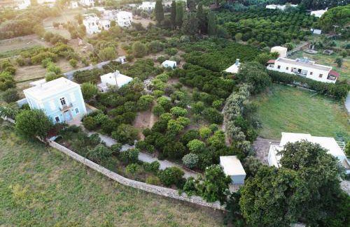 Alinda Apartment | 55 m² Apartment ∙ 2 guests