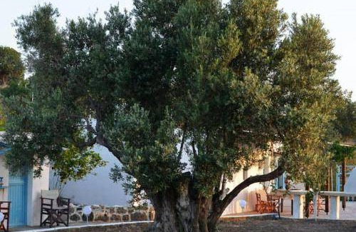 Mandraki House | 60 m² House ∙ 1 bedroom ∙ 3 guests