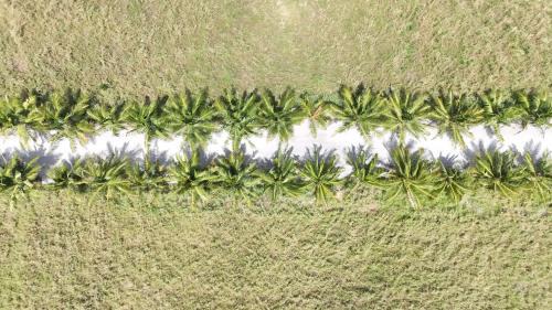 Thoddoo House | Aashaan View Thoddoo