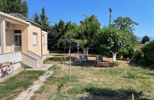 Nestos House | Art House