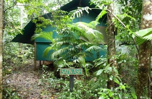 Cow Bay Other | Camping ∙ 1 bedroom ∙ 6 guests