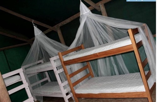 Cow Bay Other | Camping ∙ 1 bedroom ∙ 8 guests