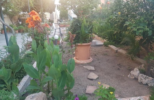 Loutra Edipsou Hotel | Erato